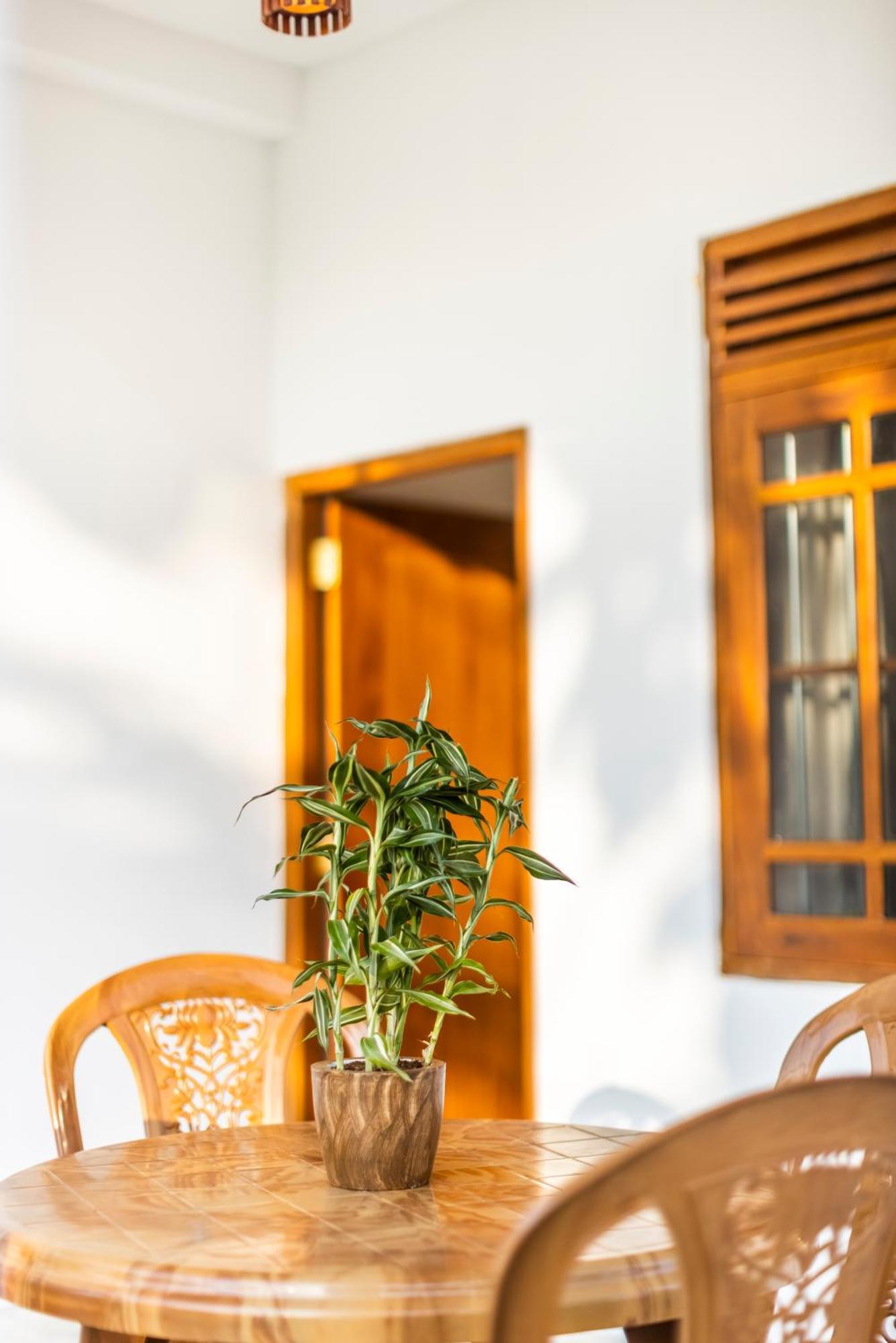 Makai Surf House Otel Ahangama Dış mekan fotoğraf